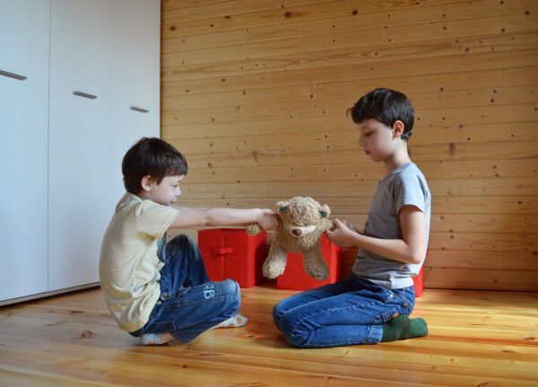 fight, do not share a toy, an argument over toys, argument, toy, do not share, kids, family, teddy bear, baby, together, i bet, share, argument, argument, argument, argument, argument